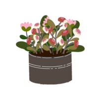 bloemen in pot png