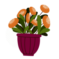 Flowers in pot png