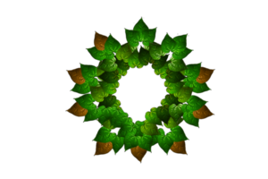 ícone decoração a partir de Formato do folhas png