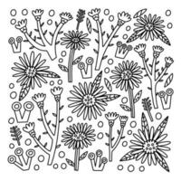 Doodle Asters decorative collection flower and leaf vector