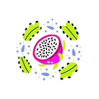 Dragon Fruit with cactus leaf vector