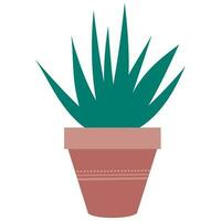 green potted indoor plant vector illustation