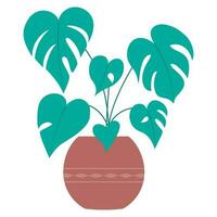 green potted indoor plant vector illustation