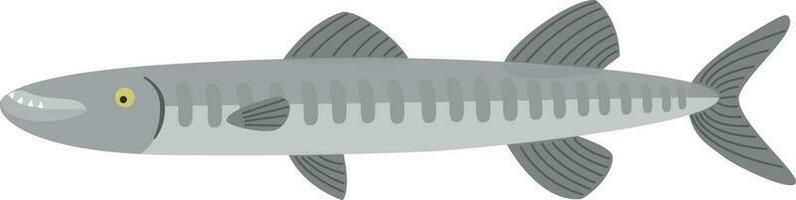 barracuda pescado ilustración vector