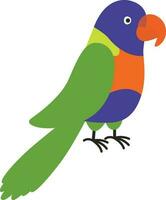 arco iris lorikeet pájaro en Australia vector