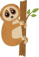 Wild loris on the branch vector