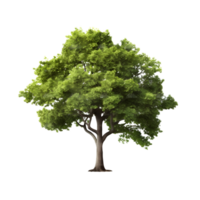 aislado árbol en transparente antecedentes. ai generado png