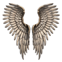 Angel wings transparent background. png