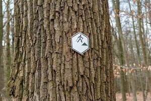 walking sign at a tree photo