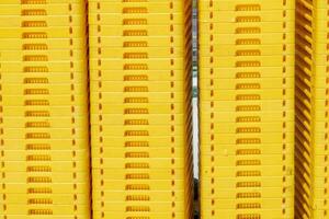 yellow plastic fish boxes photo