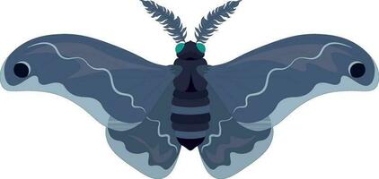 Giant silk blue colored moth vector illustration