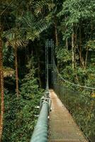 colgando puente, monteverde nube bosque, costa rica foto