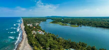 Tortuguero National Park turtle beach coast Costa Rica photo