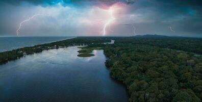 Tortuguero National Park turtle beach coast Costa Rica photo