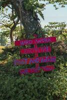 Motivational message written on wooden board beside tree trunk in forest photo