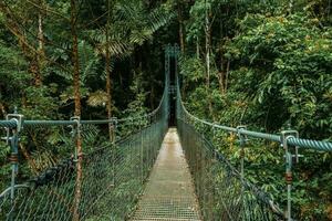 colgando puente, monteverde nube bosque, costa rica foto