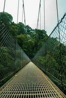 Hanging Bridge, Monteverde Cloud Forest, Costa Rica photo