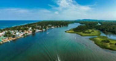 Tortuguero National Park turtle beach coast Costa Rica photo