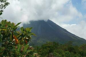 un lozano jardín en la fortuna, costa rica con arenal volcán en el antecedentes foto