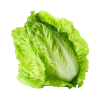 verde lattuga isolato. illustrazione ai generativo png