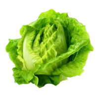 Green lettuce isolated. Illustration AI Generative png