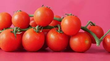 Red color cherry tomato on red background video