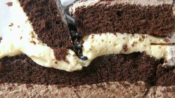 Schneiden Schokolade Kuchen mit ein Löffel video