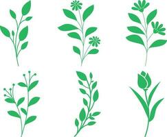 Set of green floral design elements. Vector illustration for your design.