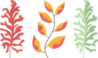 Set of autumn leaves. Vector illustration isolated on a white background.