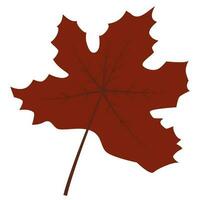autumn leaf season decoretion vector