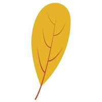 autumn leaf season decoretion vector