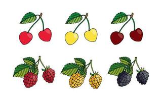 vector illustration set of summer berries. Yellow, red and burgundy cherries, yellow and red raspberries, blackberries