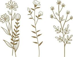 Set of hand drawn floral elements isolated on white background. Vector illustration.