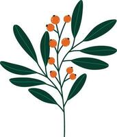 branch with leafs and seeds isolated icon vector illustration desing