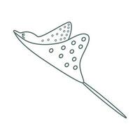 Stingray, sea animal. An inhabitant of the sea world, a cute underwater creature. Line art. vector