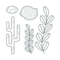 Set of seaweed, seashells in flat cartoon style. vector