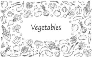 Collection of drawing vegetables in doodle style. A set of vector illustrations of the harvest corn potatoes carrots radishes beets garlic onions tomatoes, etc.