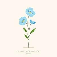 Blue flower and leaf botanical illustration. vector