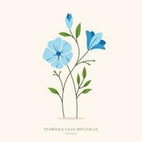 Blue flower and leaf botanical illustration. vector