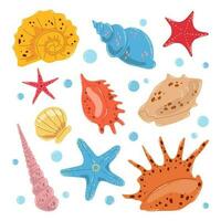 Set colorful different seashells and starfishes in flat hand drawn vector style isolated on white background.