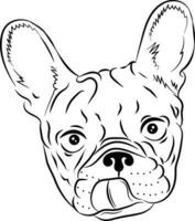 Vector hand-drawn portrait of a French bulldog. Sketch of an illustration with a dog's head highlighted on a white background. Cute little face of a pet with a protruding tongue.Vector illustration