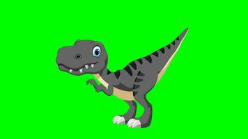 Cartoon dinosaurus - t-rex tyrannosaurus rex - Animation 4 of 9 Curious - Color 11 of 12 Grey video