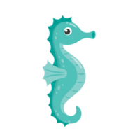 hippocampe mignonne dessin animé png