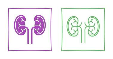 Kidney Vector Icon