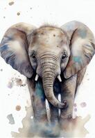 watercolor painting of an elephant with tusks. . photo