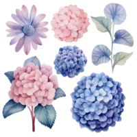 magnifique aquarelle hortensia feuilles fleur, ai génératif png