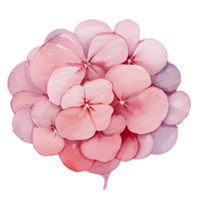 beautiful watercolor hydrangea flower, AI Generative png