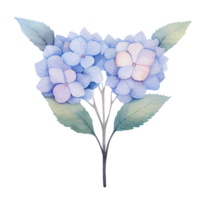 hermosa acuarela hortensia hojas flor, ai generativo png