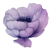 aquarelle anémone fleur, magnifique floral, ai génératif png