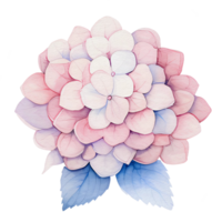 magnifique aquarelle hortensia feuilles fleur, ai génératif png